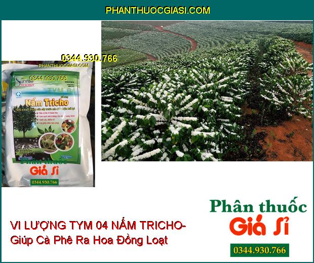 VI LƯỢNG TYM 04 NẤM TRICHO- Bảo Vệ Rễ- Xanh Cây- Cây Phát Triển Bền Vững