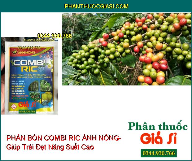 PHÂN BÓN VI LƯỢNG COMBI RIC ÁNH NÔNG- Giúp Dưỡng Xanh Dày Lá- Hạn Chế Xoăn Lá- Chống Rụng Trái Non