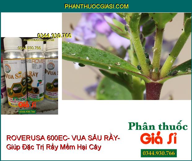 THUỐC TRỪ SÂU ROVERUSA 600EC- VUA SÂU RẦY- Làm Ung Trứng Sâu Rầy- Chống Lột Xác