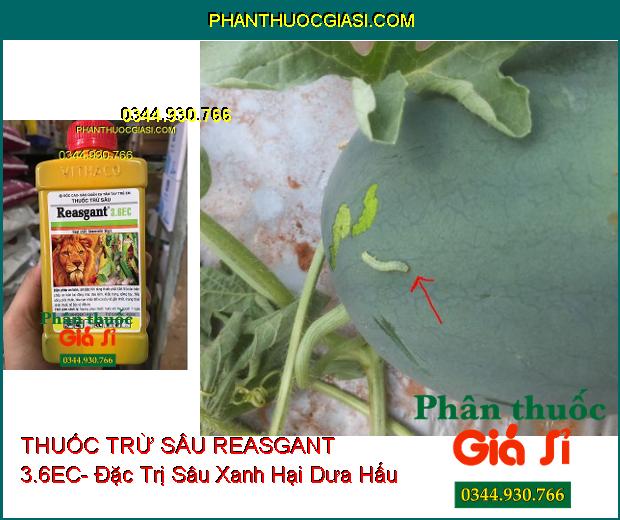 THUỐC TRỪ SÂU REASGANT 3.6EC- Đặc Trị Nhiều Loại Côn Trùng Hại Cây 