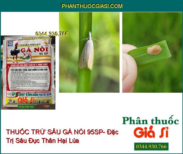 THUỐC TRỪ SÂU GÀ NÒI 95SP- Đặc Trị Sâu Đục Thân- Sâu Cuốn Lá Hại Lúa