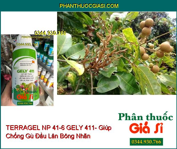 PHÂN BÓN LÁ HỖN HỢP NP TERRAGEL NP 41-6 GELY 411- Vọt Đọt Mạnh- Lớn Trái- Bóng Mượt