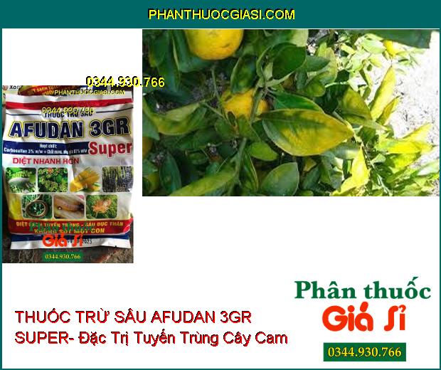 THUỐC TRỪ SÂU AFUDAN 3GR SUPER- Thuốc Đặc Trị Tuyến Trùng- Sâu Đục Thân- Rầy Nâu