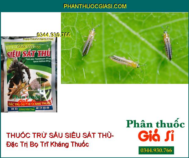 THUỐC TRỪ SÂU SIÊU SÁT THỦ- Đặc Trị Bọ Trĩ Kháng Thuốc- Côn Trùng Chích Hút