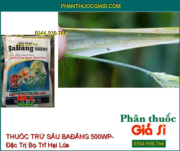 THUỐC TRỪ SÂU BAĐĂNG 500WP- Đặc Trị Bọ Trĩ Hại Lúa- Rệp Sáp Hại Cà Phê