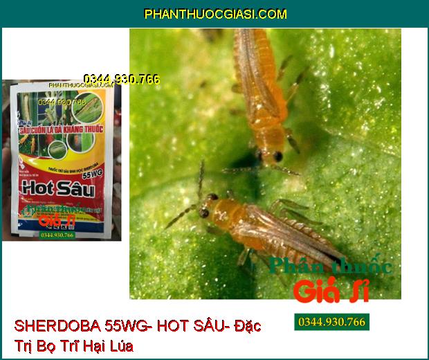 THUỐC TRỪ SÂU SINH HỌC SHERDOBA 55WG- HOT SÂU- Đặc Trị Sâu Cuốn Lá Đã Kháng Thuốc