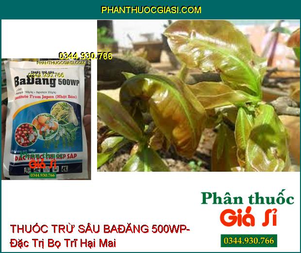 THUỐC TRỪ SÂU BAĐĂNG 500WP- Đặc Trị Bọ Trĩ Hại Lúa- Rệp Sáp Hại Cà Phê