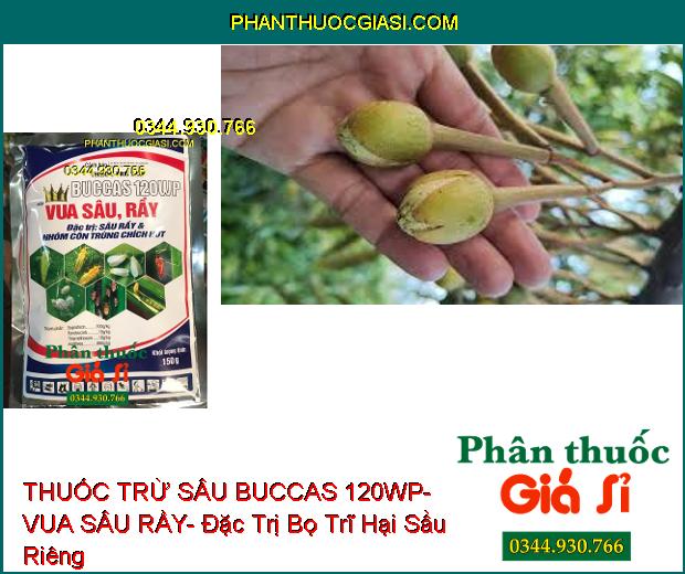 THUỐC TRỪ SÂU BUCCAS 120WP- VUA SÂU RẦY- Đặc Trị Sâu Rầy- Côn Trùng Chích Hút