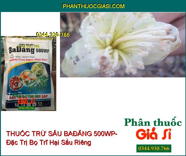 THUỐC TRỪ SÂU BAĐĂNG 500WP- Đặc Trị Bọ Trĩ Hại Lúa- Rệp Sáp Hại Cà Phê