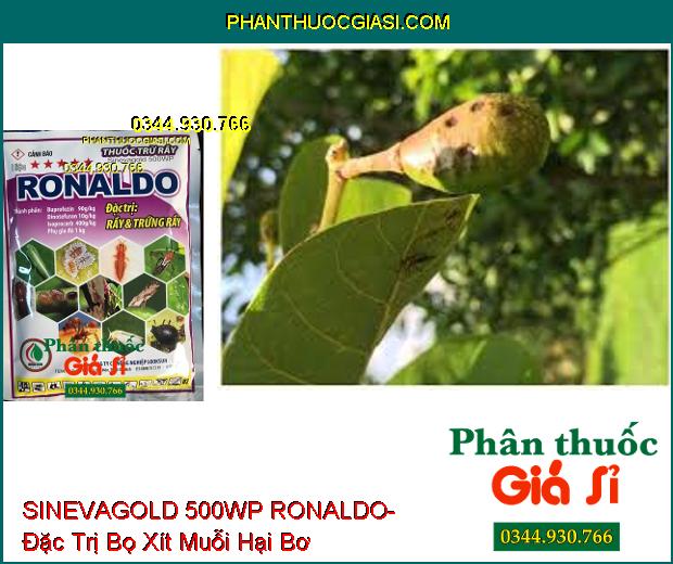 THUỐC TRỪ RẦY SINEVAGOLD 500WP RONALDO- Đặc Trị Rầy Và Trứng Rầy