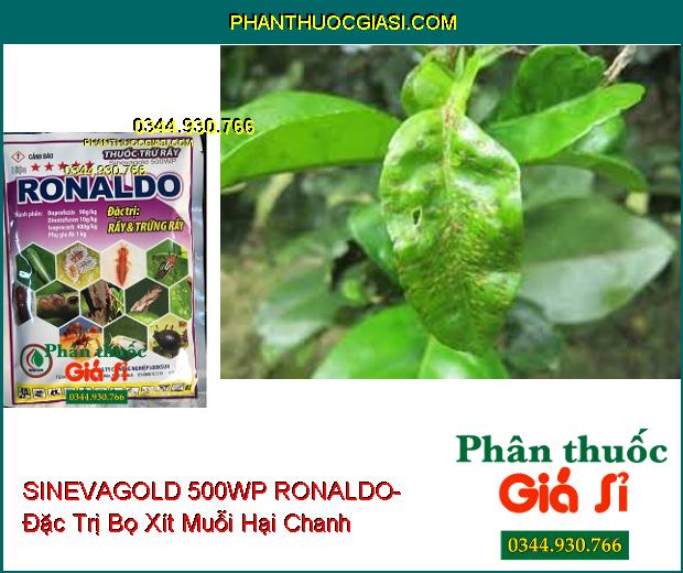 THUỐC TRỪ RẦY SINEVAGOLD 500WP RONALDO- Đặc Trị Rầy Và Trứng Rầy