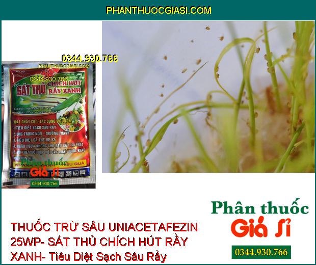  THUỐC TRỪ SÂU UNIACETAFEZIN 25WP- SÁT THỦ CHÍCH HÚT RẦY XANH- Tiêu Diệt Sạch Sâu Rầy