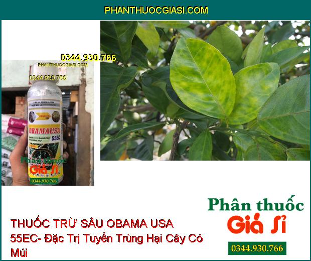 THUỐC TRỪ SÂU OBAMA USA 55EC- Đặc Trị Tuyến Trùng- Rệp Sáp- Sâu- Nhện Đỏ