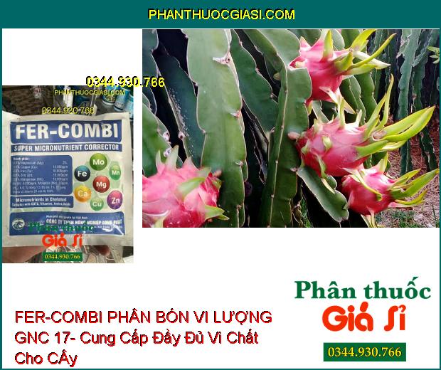 FER-COMBI PHÂN BÓN VI LƯỢNG GNC 17- Cung Cấp Vi Chất Cần Thiết Cho Cây- Giúp Cây Phục Hồi Nhanh