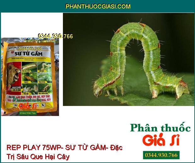 THUỐC TRỪ SÂU REP PLAY 75WP- SƯ TỬ GẦM- Đặc Trị Sâu Đục Thân- Bọ Trĩ- Rầy- Rệp Sáp