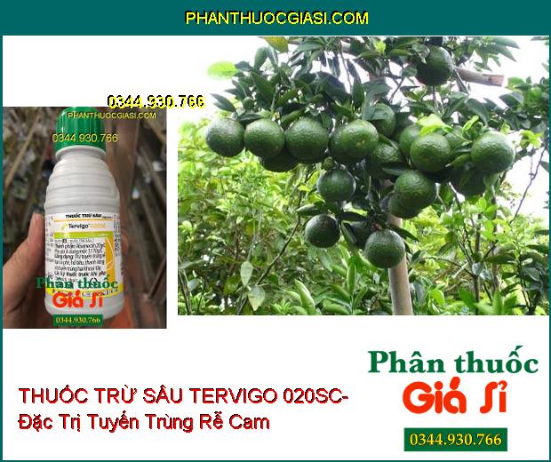 THUỐC TRỪ SÂU SINH HỌC TERVIGO 020SC- Đặc Trị Tuyến Trùng Rễ- Giúp Cho Rộ Rễ Khỏe Mạnh