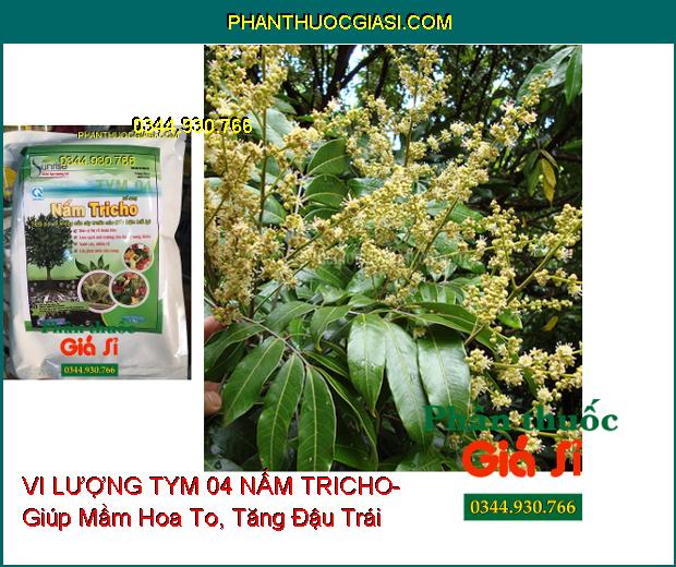 VI LƯỢNG TYM 04 NẤM TRICHO- Bảo Vệ Rễ- Xanh Cây- Cây Phát Triển Bền Vững