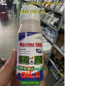 CHẾ PHẨM TRỢ LỰC MAXIMA 5000