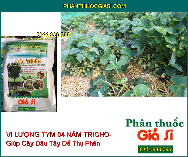 VI LƯỢNG TYM 04 NẤM TRICHO- Bảo Vệ Rễ- Xanh Cây- Cây Phát Triển Bền Vững