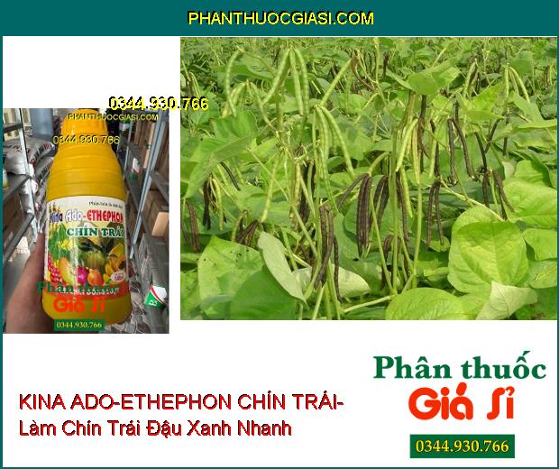 PHÂN BÓN LÁ SINH HỌC KINA ADO-ETHEPHON CHÍN TRÁI- Chín Trái Nhanh- Màu Sắc Đẹp- Chống Sượng Trái