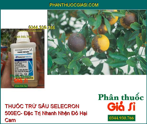 THUỐC TRỪ SÂU SELECRON 500EC- Đặc Trị Nhanh Nhện Đỏ- Rệp- Bọ Trĩ- Sâu