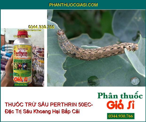 THUỐC TRỪ SÂU PERTHRIN 50EC- Đặc Trị Sâu Cuốn Lá- Bọ Xít Muỗi- Sâu Khoang