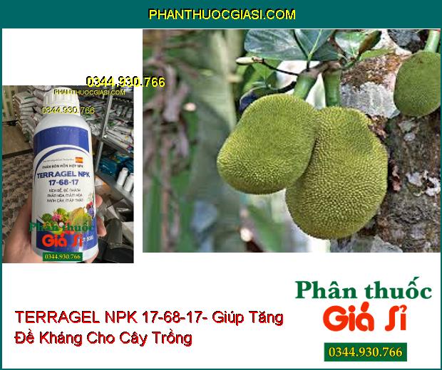 PHÂN BÓN LÁ HỖN HỢP TERRAGEL NPK 17-68-17- Kích Rễ- Đẻ nhánh- Phân Hóa Mầm Hoa