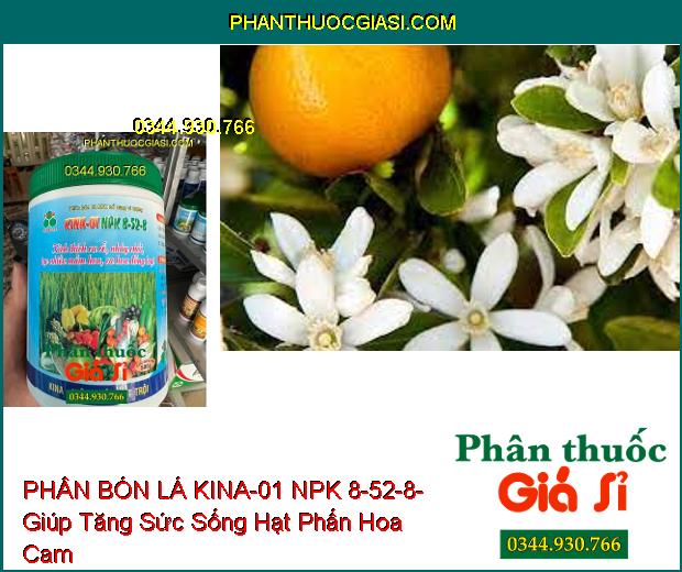 PHÂN BÓN LÁ KINA-01 NPK 8-52-8- Kích Thích Ra Rễ- Nhảy Chồi- Tạo Nhiều Mầm Hoa