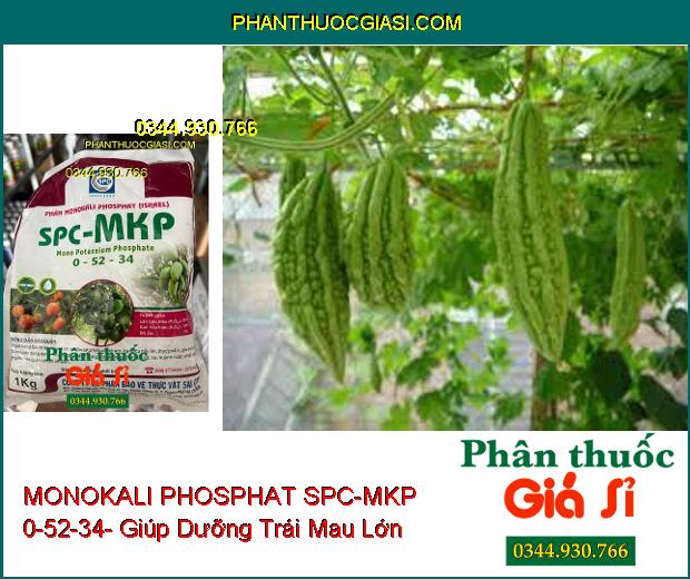 PHÂN BÓN MONOKALI PHOSPHAT SPC-MKP 0-52-34- Thúc Đẩy Lá Mau Già- Xử Lý Ra Hoa