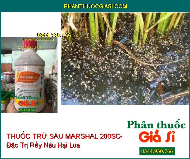 THUỐC TRỪ SÂU MARSHAL 200SC- Đặc Trị Sâu Đục Thân- Rầy Nâu- Rệp Sáp- Ve Sầu