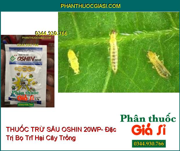 THUỐC TRỪ SÂU OSHIN 20WP- Đặc Trị Bọ Nhảy- Sâu Đục Lá- Bọ Phấn- Rầy