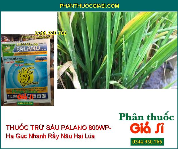 THUỐC TRỪ SÂU PALANO 600WP- Lưu Dẫn Mạnh- Hạ Gục Nhanh Rầy Nâu