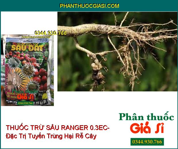 THUỐC TRỪ SÂU RANGER 0.3EC- Đặc Trị Sâu Đất- Tuyến Trùng- Sâu Đục Thân- Bọ Hà