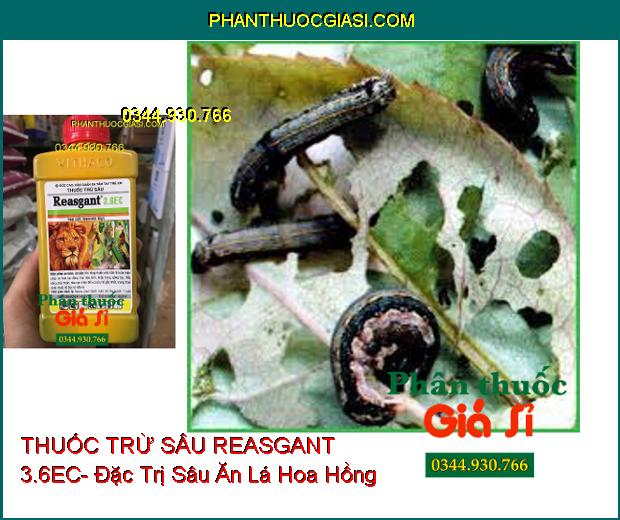 THUỐC TRỪ SÂU REASGANT 3.6EC- Đặc Trị Nhiều Loại Côn Trùng Hại Cây 