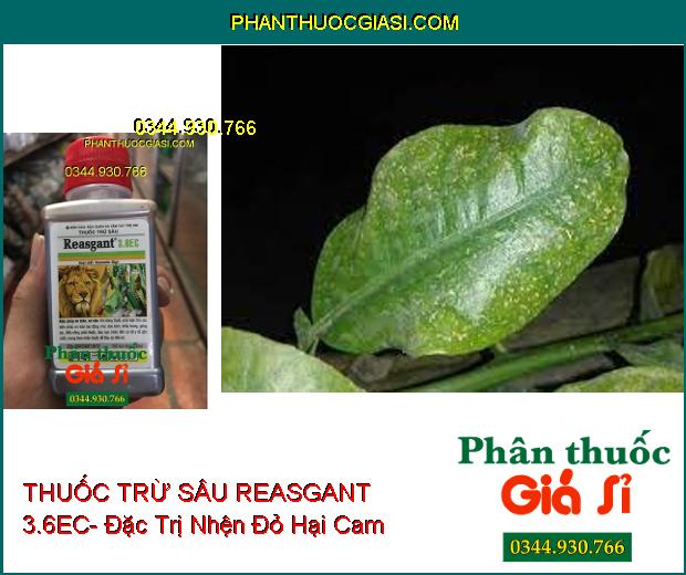 THUỐC TRỪ SÂU REASGANT 3.6EC- Đặc Trị Nhiều Loại Sâu Hại Trên Nhiều Loại Cây Trồng