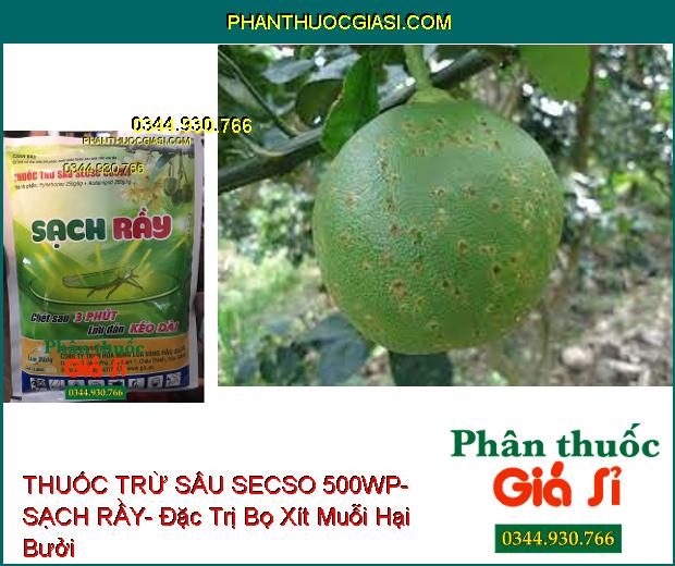 THUỐC TRỪ SÂU SECSO 500WP- SẠCH RẦY- Đặc Trị Rầy- Bọ Xít Muỗi