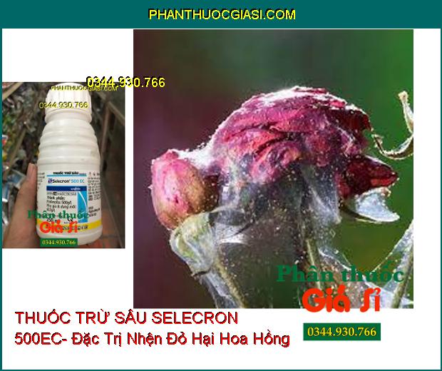 THUỐC TRỪ SÂU SELECRON 500EC- Đặc Trị Rệp Sáp- Nhện Đỏ- Sâu- Bọ Trĩ