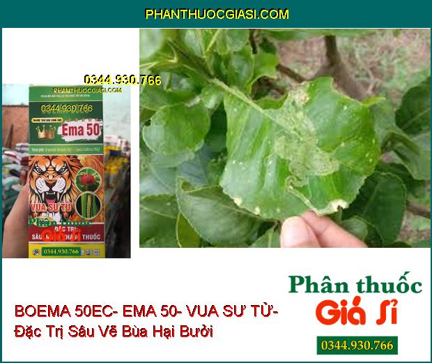 THUỐC TRỪ SÂU SINH HỌC BOEMA 50EC- EMA 50- VUA SƯ TỬ- Đặc Trị Sâu Nhện Kháng Thuốc