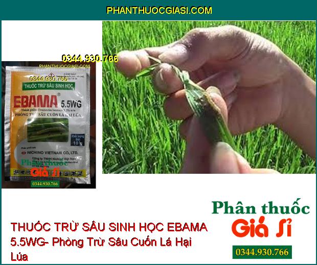 THUỐC TRỪ SÂU SINH HỌC EBAMA 5.5WG- Phòng Trừ Sâu Cuốn Lá Hại Lúa