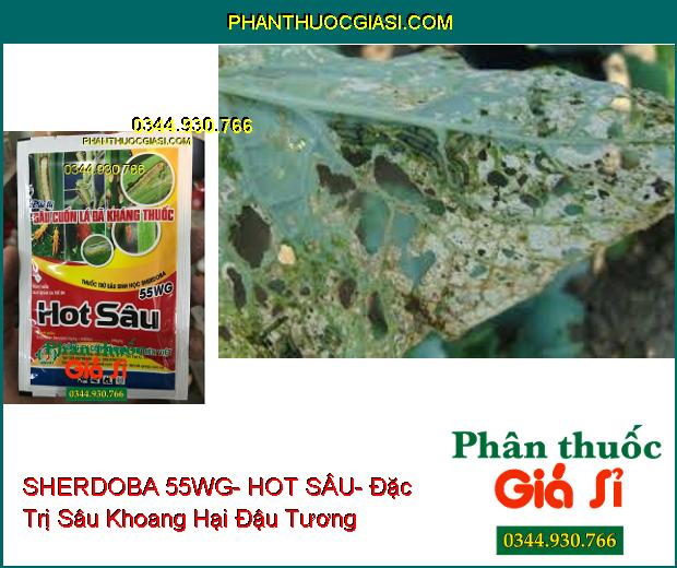 THUỐC TRỪ SÂU SINH HỌC SHERDOBA 55WG- HOT SÂU- Đặc Trị Sâu Cuốn Lá Đã Kháng Thuốc