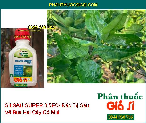 THUỐC TRỪ SÂU SINH HỌC SILSAU SUPER 3.5EC- Đặc Trị Sâu Hồng Đục Quả Bưởi