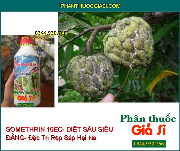 THUỐC TRỪ SÂU SOMETHRIN 10EC- DIỆT SÂU SIÊU ĐẲNG- Đặc Trị Bọ Xít Muỗi- Bọ Trĩ