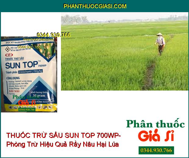 THUỐC TRỪ SÂU SUN TOP 700WP- Phòng Trừ Hiệu Quả Rầy Nâu Hại Lúa