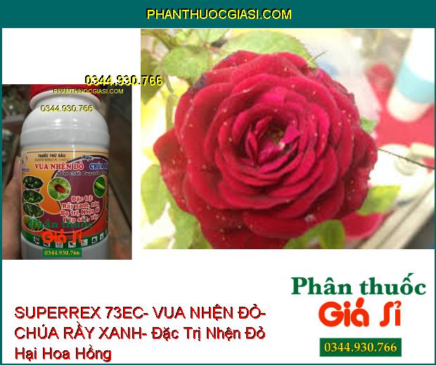 THUỐC TRỪ SÂU SUPERREX 73EC- VUA NHỆN ĐỎ- CHÚA RẦY XANH- Đặc Trị Nhện- Rầy