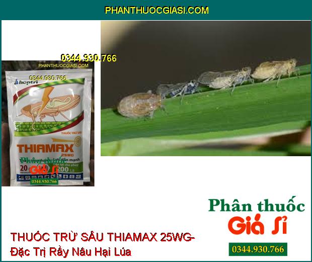 THUỐC TRỪ SÂU THIAMAX 25WG- Đặc Trị Rầy Nâu Hại Lúa- Diệt Cả Rầy Non Và Rầy Trưởng Thành