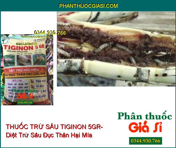 THUỐC TRỪ SÂU TIGINON 5GR- Diệt Trừ Hữu Hiệu Sâu Đục Thân Hại Lúa- Mía