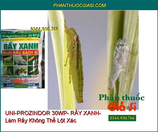 THUỐC TRỪ SÂU UNI-PROZINDOR 30WP- RẦY XANH- Đặc Trị Côn Trùng Chích Hút- Rầy Không Thể Lột Xác