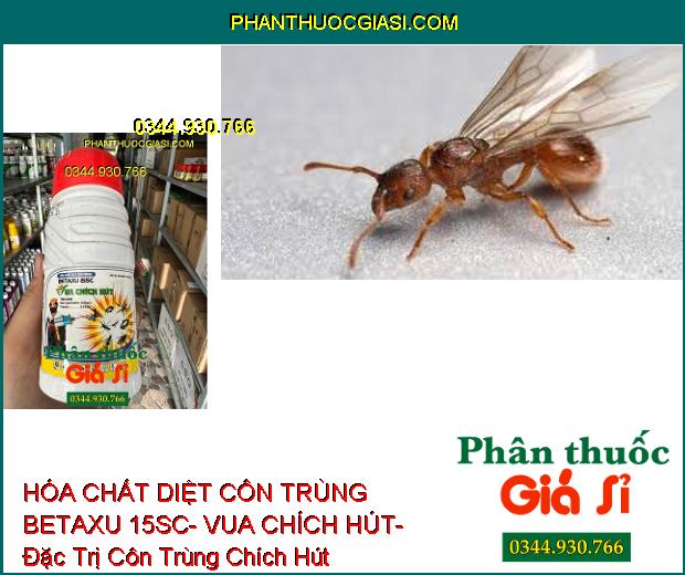 HÓA CHẤT DIỆT CÔN TRÙNG BETAXU 15SC- VUA CHÍCH HÚT- Đặc Trị Côn Trùng Chích Hút