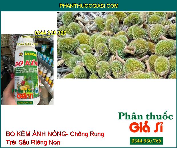 BO KẼM ÁNH NÔNG- Hạt Phấn Khỏe- Tăng Thụ Phấn- Chống Rụng Trái