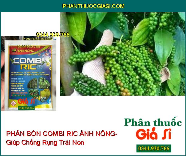 PHÂN BÓN VI LƯỢNG COMBI RIC ÁNH NÔNG- Giúp Dưỡng Xanh Dày Lá- Hạn Chế Xoăn Lá- Chống Rụng Trái Non